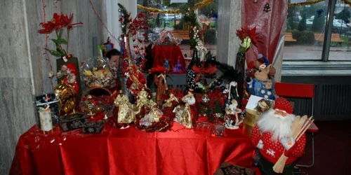 Foto: Centrul de Afaceri Transfrontalier "Danubius"