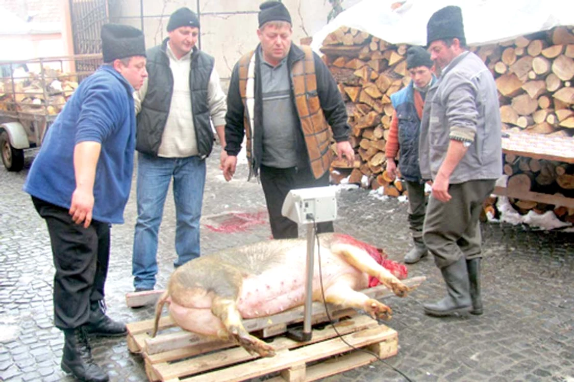 Cinci oameni  au lucrat la  tăiat şi tranşat