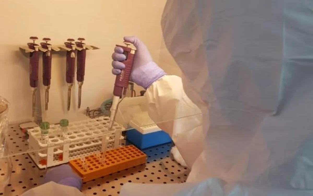 Probele recoltate în Sălaj sunt analizate în laboratoare din alte judeţe FOTO Arhivă