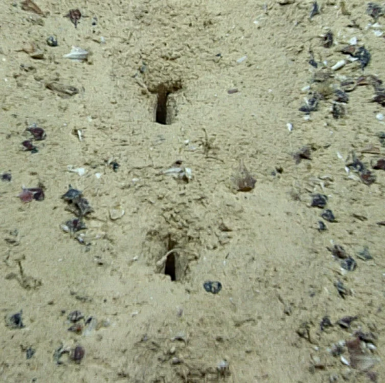 Găuri descoperite pe fundul Oceanului Atlantic