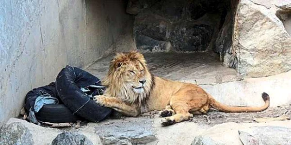 zoo-jeans.com