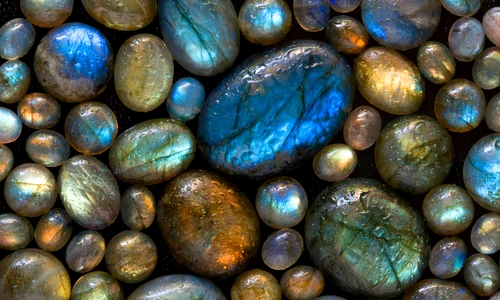 1 shutterstock 131872049 jpg jpeg