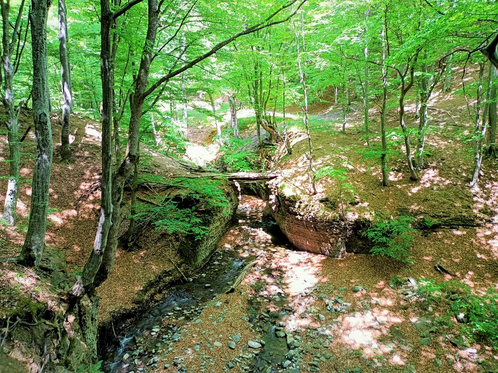 Rezervația naturală Stâmtura Cozei FOTO: RNP
