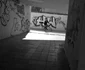  DSC0474 JPG
