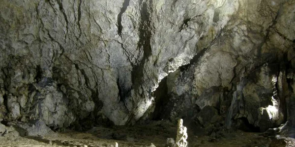 Peştera Valea Cetăţii