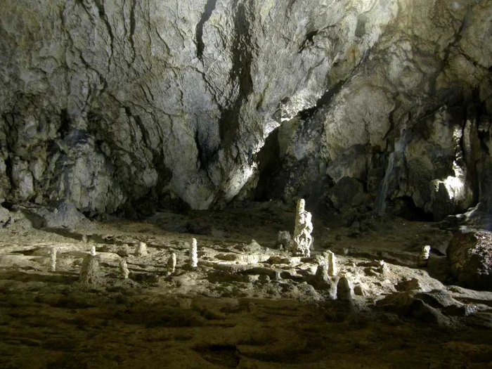 Peştera Valea Cetăţii este o adevărată feerie de lumini şi umbre. FOTO: Simona Suciu