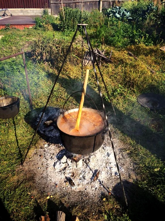 Vedeta nu a învățat încă să facă tradiționalul gulaș, dar ia lecții de la mama soacră jpeg