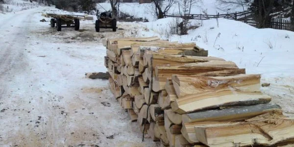 Lemnele au fost confiscate de poliţişti Foto: arhivă