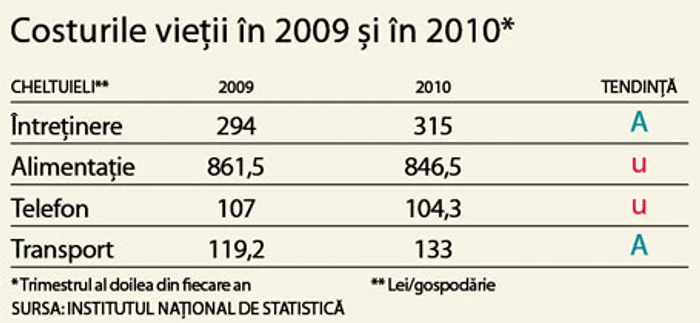 Larisa Badea nu știe cum va trece iarna 2010  