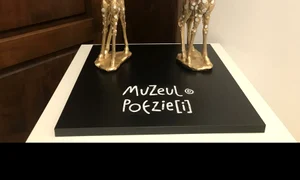 Muzeu de pus în ramă jpeg