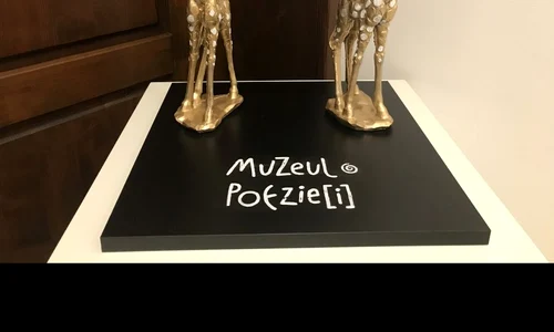 Muzeu de pus în ramă jpeg