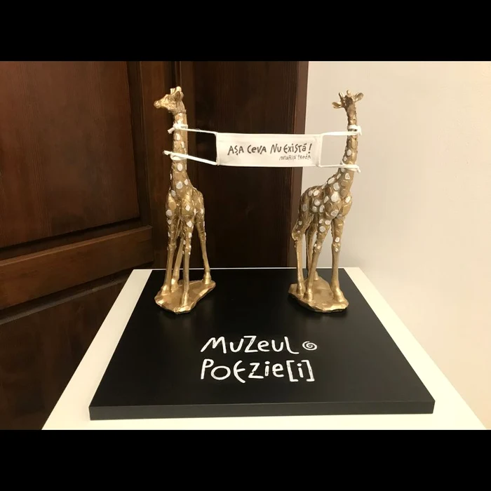 Muzeu de pus în ramă jpeg