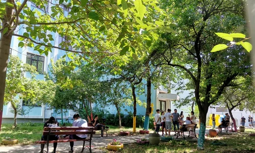 rezultate bac 2022 olt - foto alina mitran