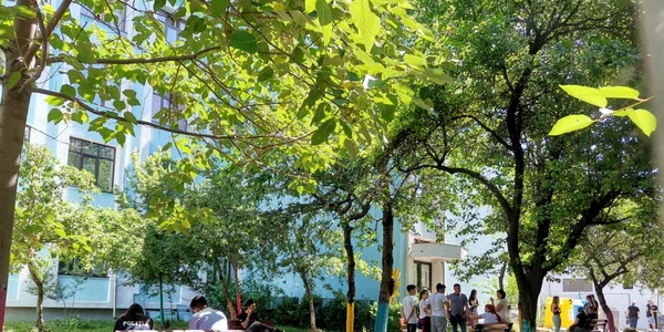 rezultate bac 2022 olt - foto alina mitran