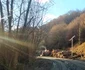 Drumul intre Runcu Mare și vadu Dobrii Foto Daniel Guță ADEVĂRUL (8) jpg