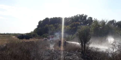 incendiu vegetatie uscata