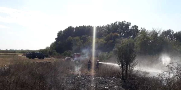 incendiu vegetatie uscata