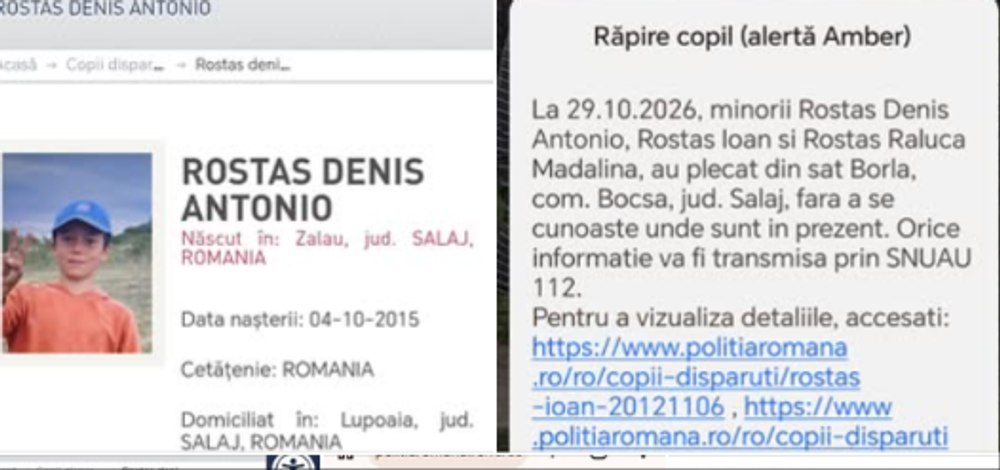 Trei copii din Sălaj, căutați de polițiști după ce au dispărut de la o stână