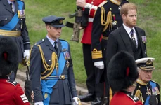 william83 jpg