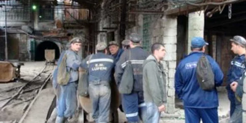 Minerii vor beneficia de subvenţii mai mici