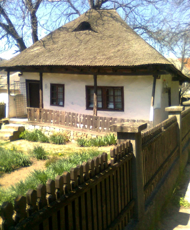 Casa lui Moș Ion Roată (© cristoiublog.ro)