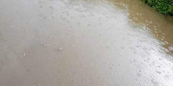 inundatii alba