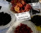 noaptea cercetatorilor