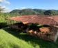 cetatea dacica costesti foto daniel guta