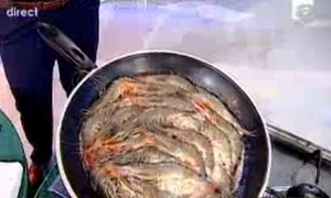 Marcel Toader a arătat telespectatorilor că este un bucătar foarte bun  (captură Antena 1) jpeg