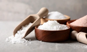 shutterstock 2444696735 jpg