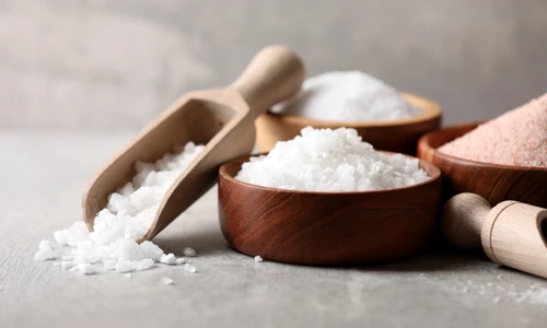 shutterstock 2444696735 jpg