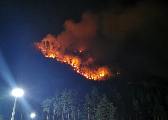 O suprafaţă importantă a pădurii de la Oituz a fost afectată de incendiu FOTO zdbc.ro