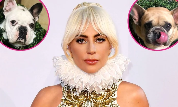 1 gaga1 jpg jpeg