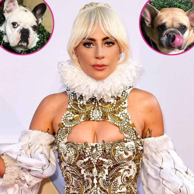 1 gaga1 jpg jpeg