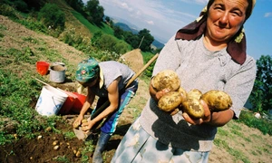 Nu muşca mîna care te hrăneşte angoase şi certitudini alimentare jpeg