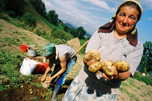 Nu muşca mîna care te hrăneşte   angoase şi certitudini alimentare jpeg