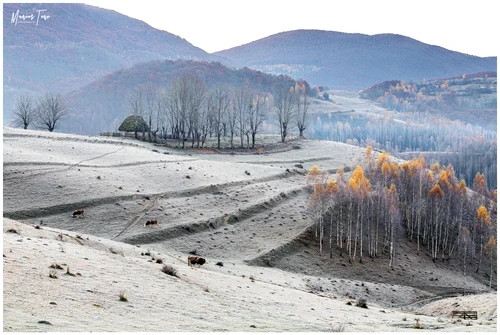 Dumești Foto Marius Turc 5 jpg