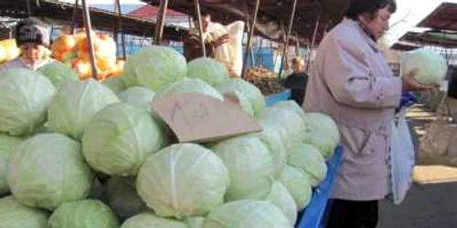 Tarabele cu varză au parte de clientelă 