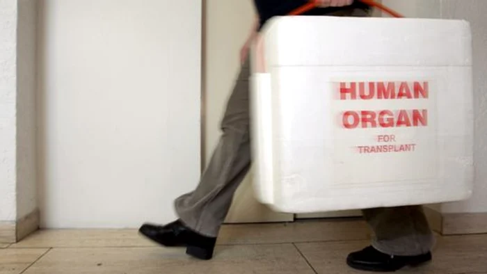 Consultări periodice pentru donarea de organe jpeg