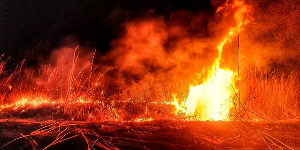 incendii vegetatie uscata
