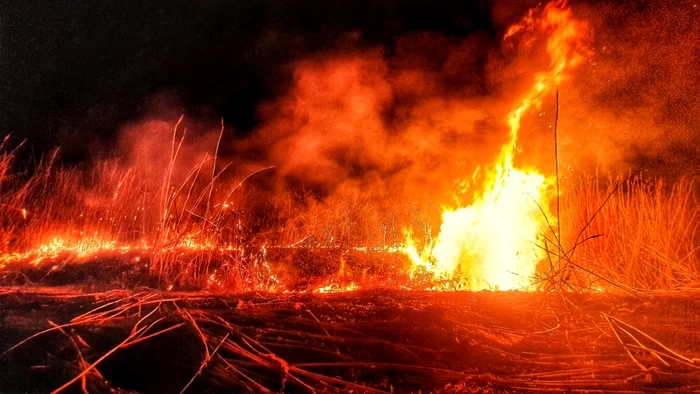 incendii vegetatie uscata