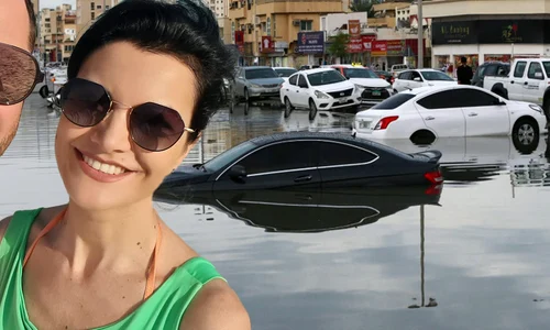 banner dinu maxer png