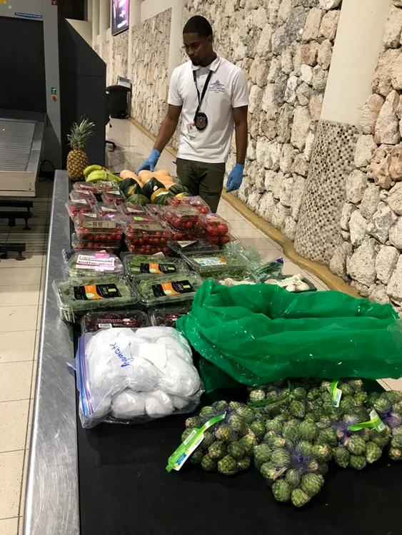 Alimentele au fost confiscate (foto: captură video)