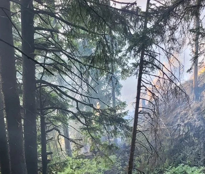 Incendiu în apropierea cabanei Piatra Mare FOTO: ISU Brasov