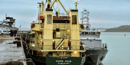 carib ăpalm agora.md