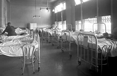 Epidemia de sifilis în România interbelică jpeg