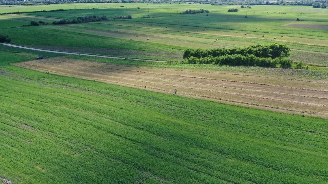Cercetări arheologice non-invazive la castrul roman de la Arcobara (© Complexul Muzeal Bistrița-Năsăud)