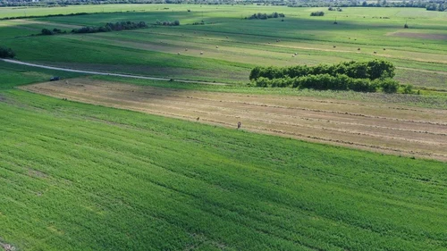 Cercetări arheologice non-invazive la castrul roman de la Arcobara (© Complexul Muzeal Bistrița-Năsăud)