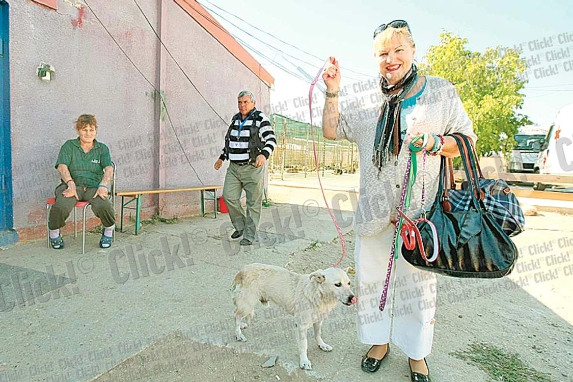 Un husky aşteaptă după gratii ca să fie şi el luat acasă (Fotografii: Dorin Constanda )
