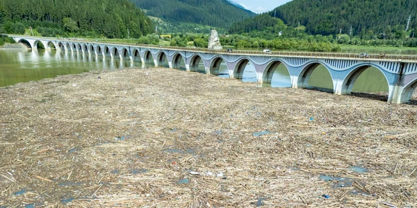 tone de lemne au fost aduse la Barajul Bicaz Foto Ioan Panaite   Facebook jpg